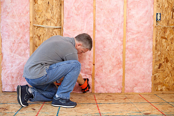 Best Soundproof Insulation Installation  in Granger, TX