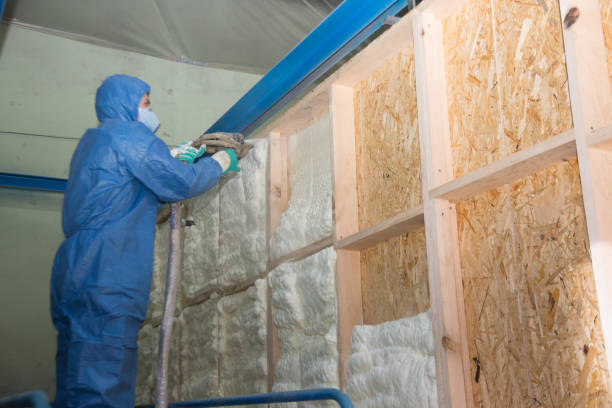 Best Insulation Removal Services  in Granger, TX