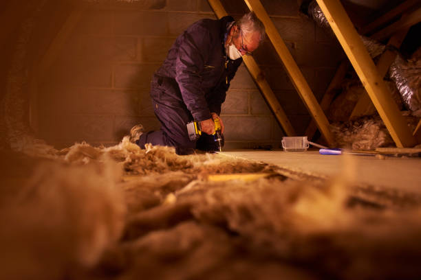 Best Insulation Inspection Services  in Granger, TX